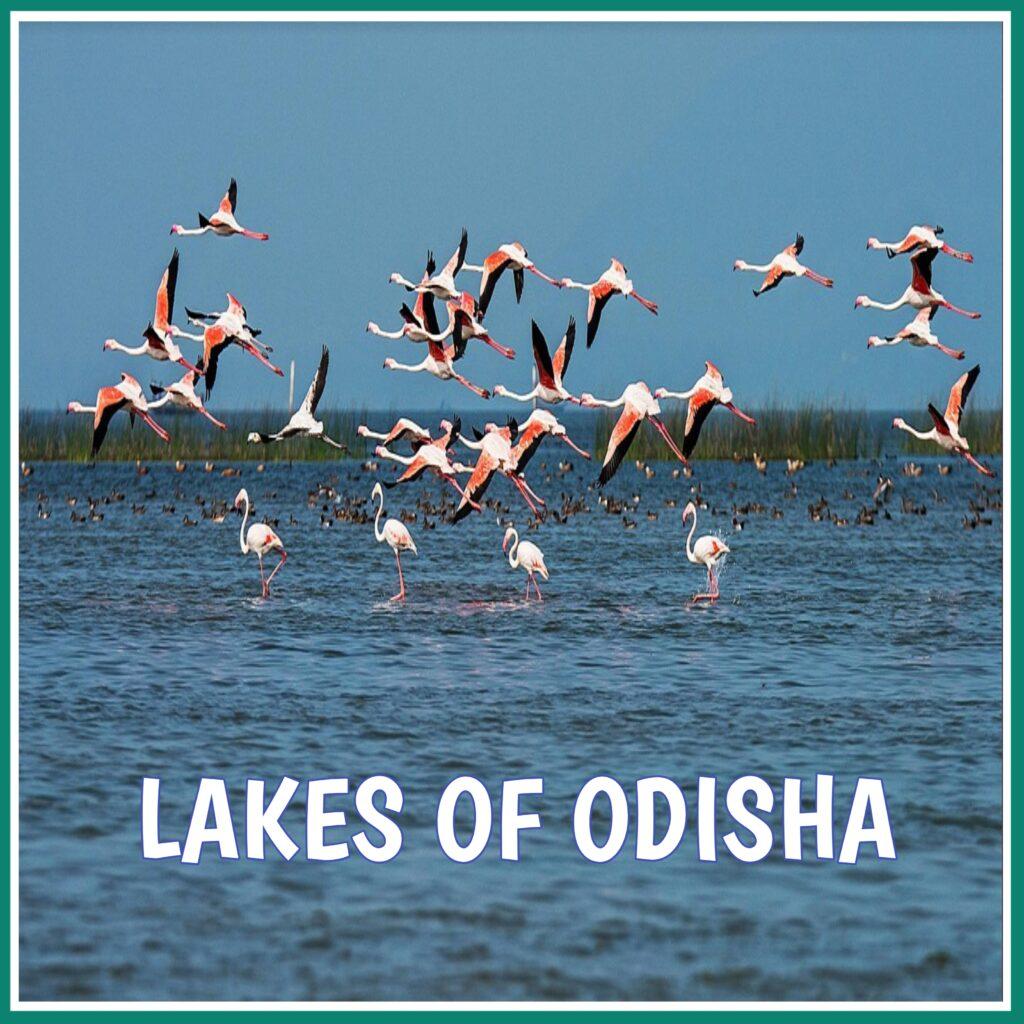 LAKES OF ODISHA, Lakes of Odisha,